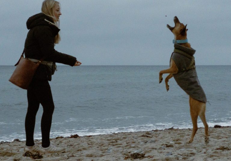 Frau wirft ein Leckerei nach oben, ein Hund springt und versucht es zu fangen am Strand bei grauem Himmel. Frau wirft ein Leckerei nach oben, ein Hund springt und versucht es zu fangen am Strand bei grauem Himmel.
