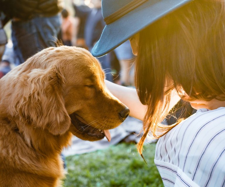 Eine Person streichelt einen lächelnden Golden Retriever im Freien. Eine Person streichelt einen lächelnden Golden Retriever im Freien.